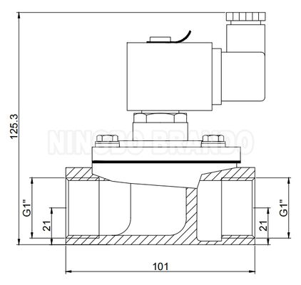 1' วาล์วเจ็ตเจ็ตดันตรงสําหรับเครื่องเก็บฝุ่น 24V 110V 220V